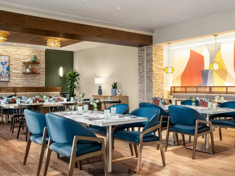 This is a modern restaurant with blue chairs, wooden tables, and colorful artwork. The space features warm lighting, plants, and a clean, inviting design.